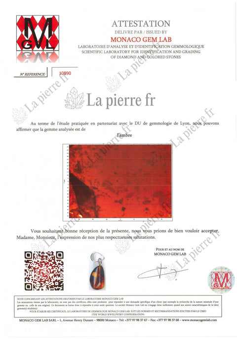 Certificat d'analyse de l'ambre des bagues et bijoux, La Pierre FR
