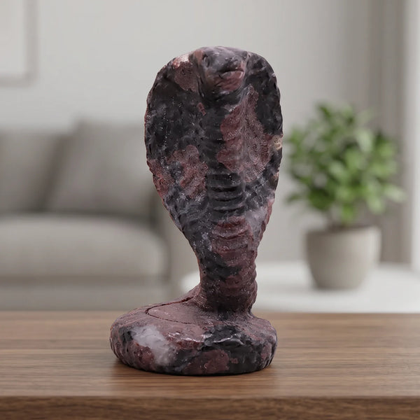 Cobra gris et rouge en grenat sur astrophyllite posé sur une étagère en noyer