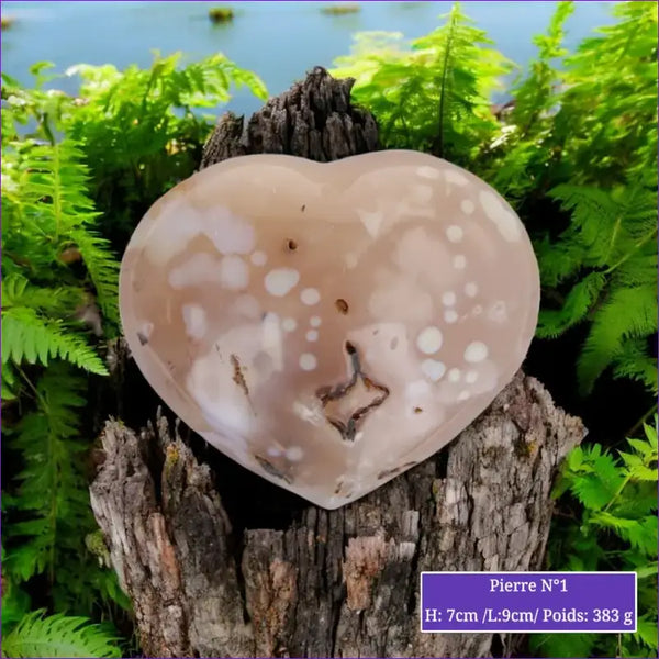 Cœur en Agate Fleur minéraux