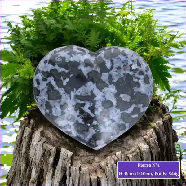 Cœur en Gabbro Indigo (Merlinite Mystique) minéraux