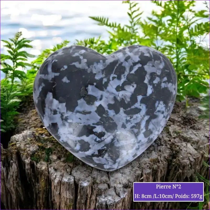 Cœur en Gabbro Indigo (Merlinite Mystique) minéraux