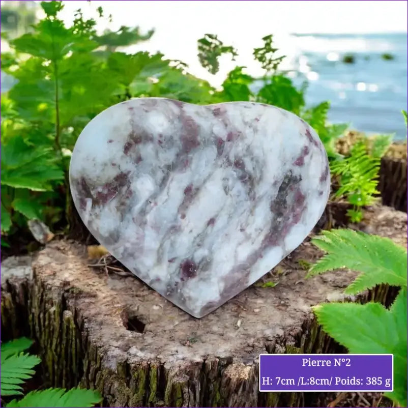 Cœur en Tourmaline Rubellite minéraux
