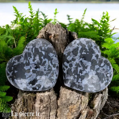 Cœur en Gabbro Indigo (Merlinite Mystique)