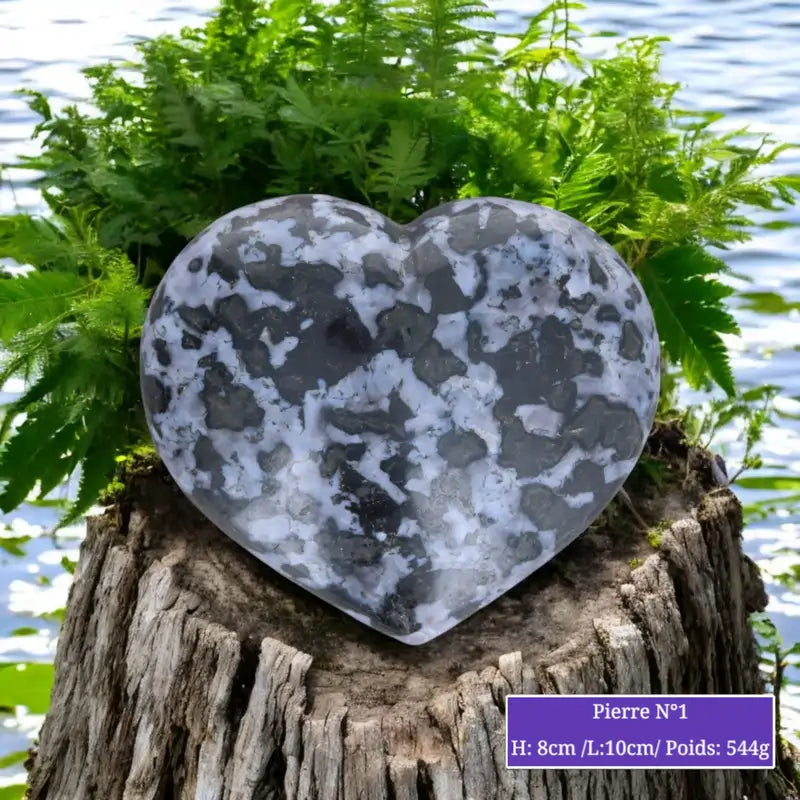 Cœur en Gabbro Indigo (Merlinite Mystique) minéraux