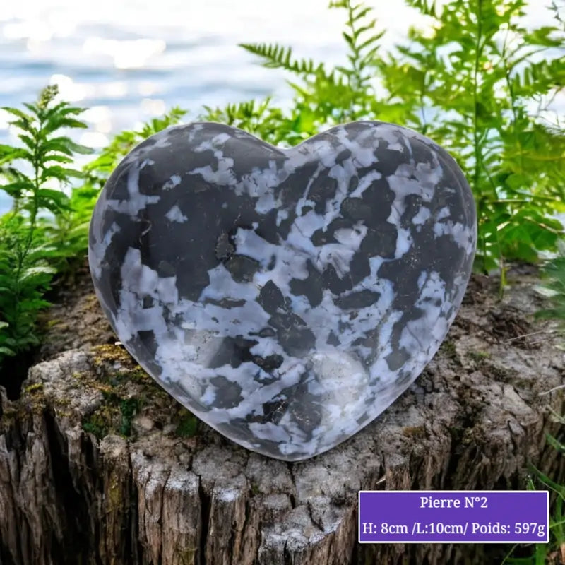 Cœur en Gabbro Indigo (Merlinite Mystique) minéraux