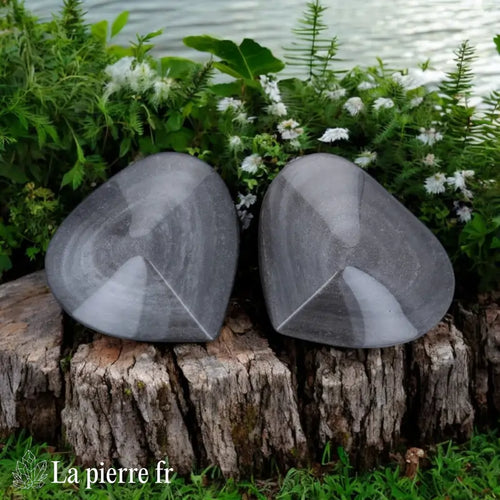 Cœur en Obsidienne Argentée