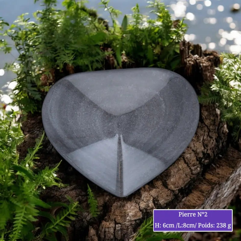 Cœur en Obsidienne Argentée minéraux