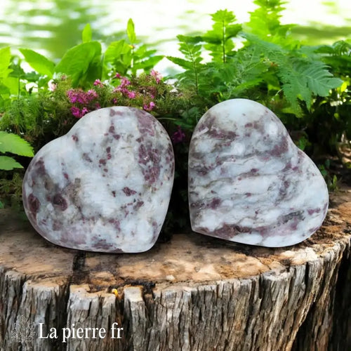 Cœur en Tourmaline Rubellite