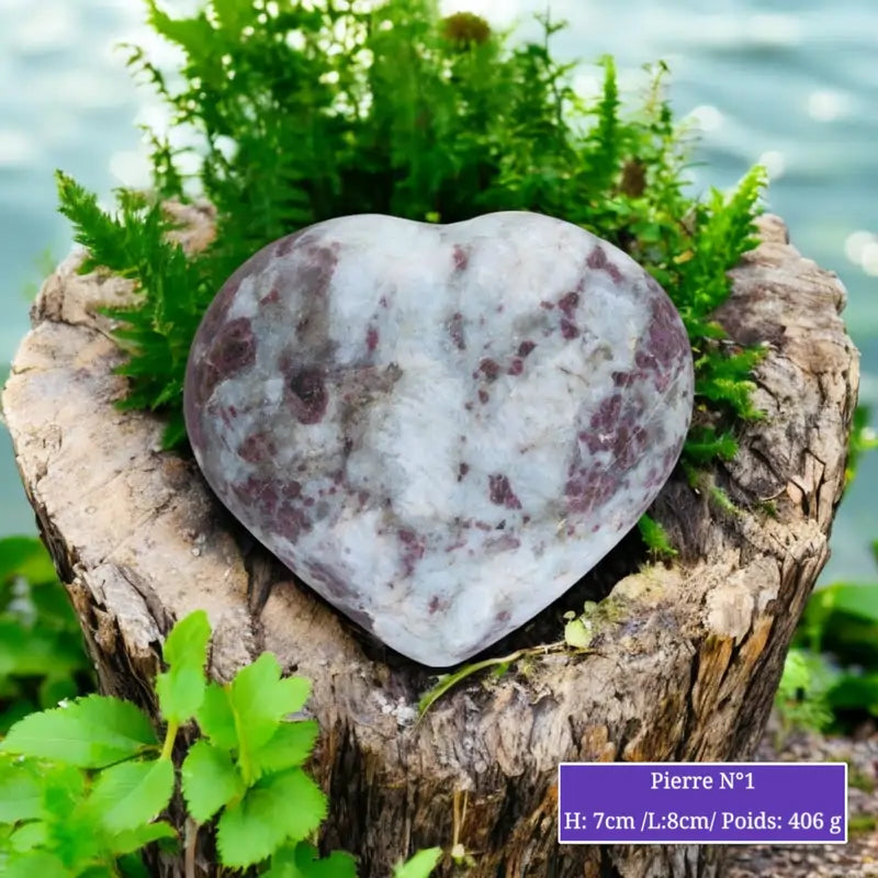 Cœur en Tourmaline Rubellite minéraux