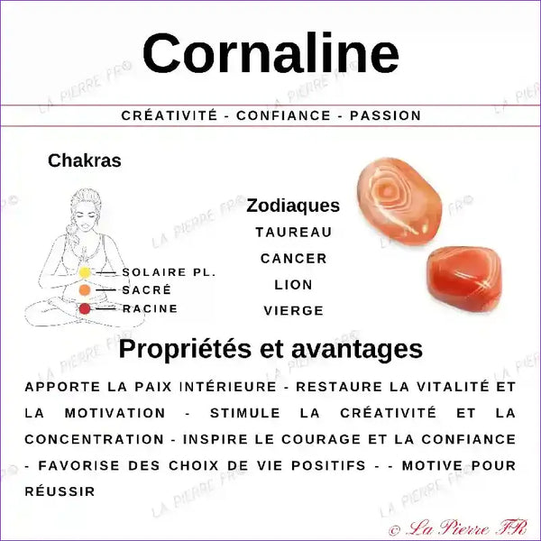 Cornaline (Brésil) - Lot de 4 Pierres Roulées (2-3cm) minéraux