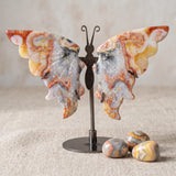 Papillon Décoratif en Agate Crazy Lace sur Socle, 11 à 13 cm