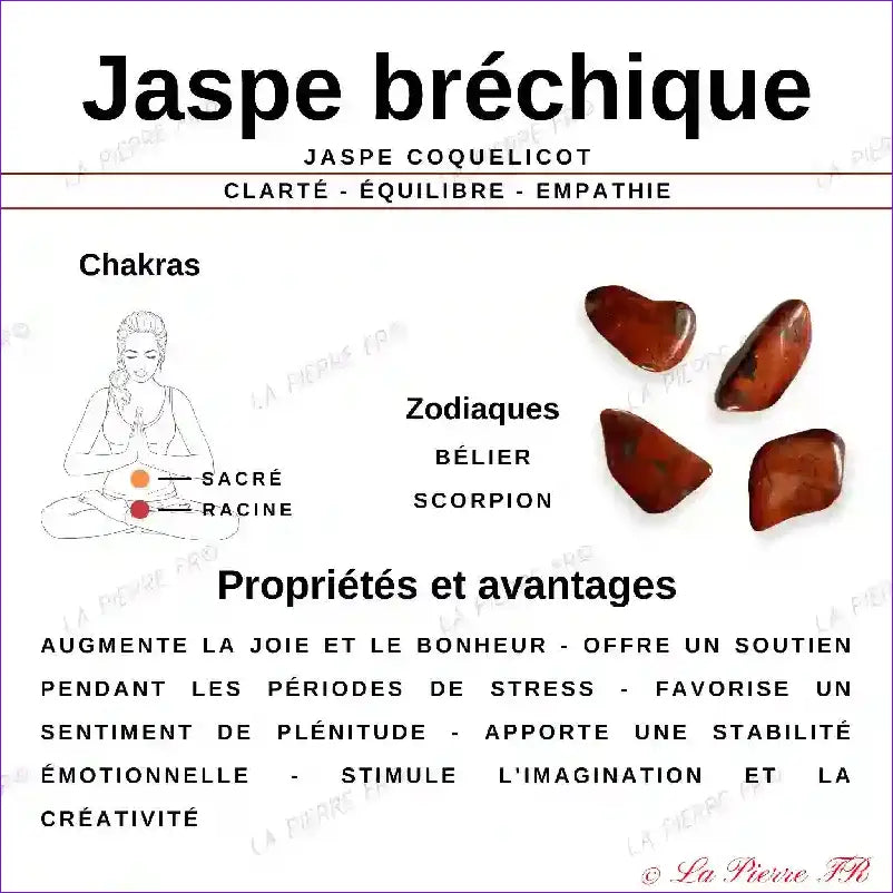 Galet Plat Jaspe Bréchique Naturel minéraux