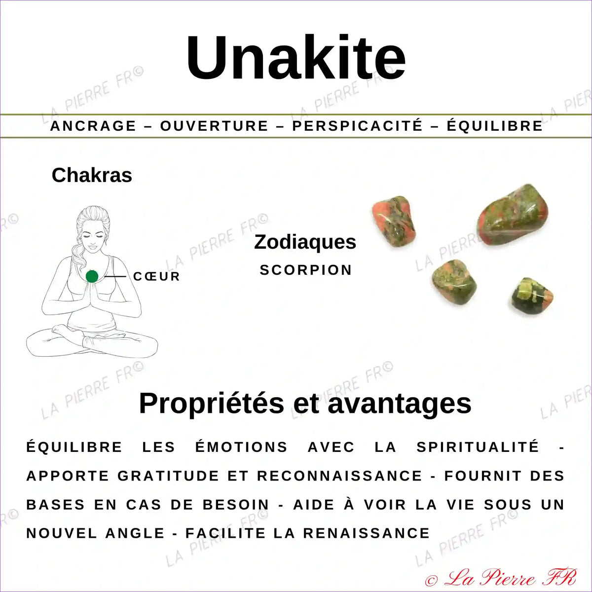 Galet Plat Unakite Naturelle minéraux