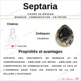 Galet Septaria Naturelle minéraux