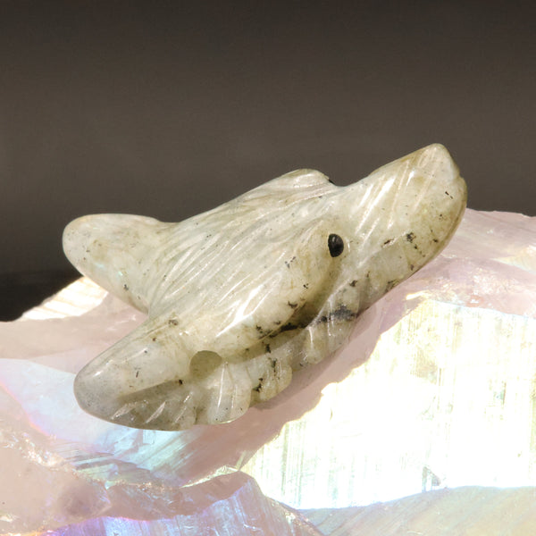 Pendentif loup labradorite avec son cordon ciré de 50 cm
