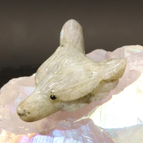 Pendentif tête de loup en labradorite — La Pierre FR