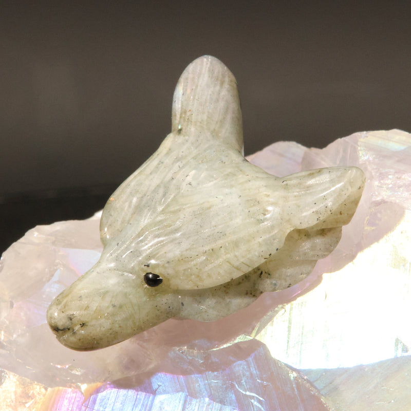 Pendentif Tête de Loup en Labradorite — Pierre naturelle de Madagascar