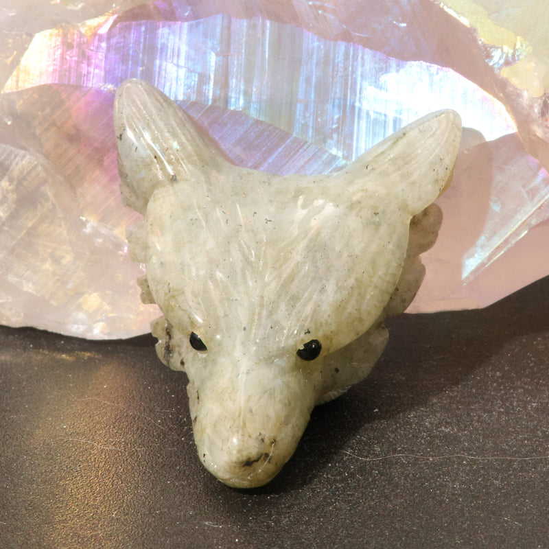 Profil du pendentif tête de loup, 13 mm d'épaisseur