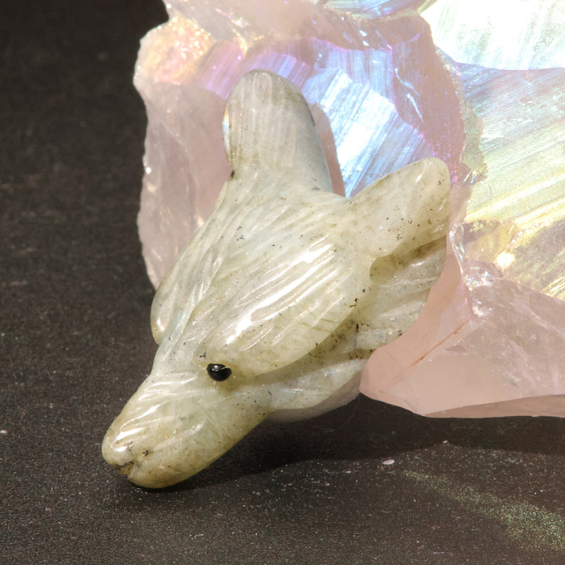 Tête de loup sculptée dans un bloc de labradorite de Madagascar