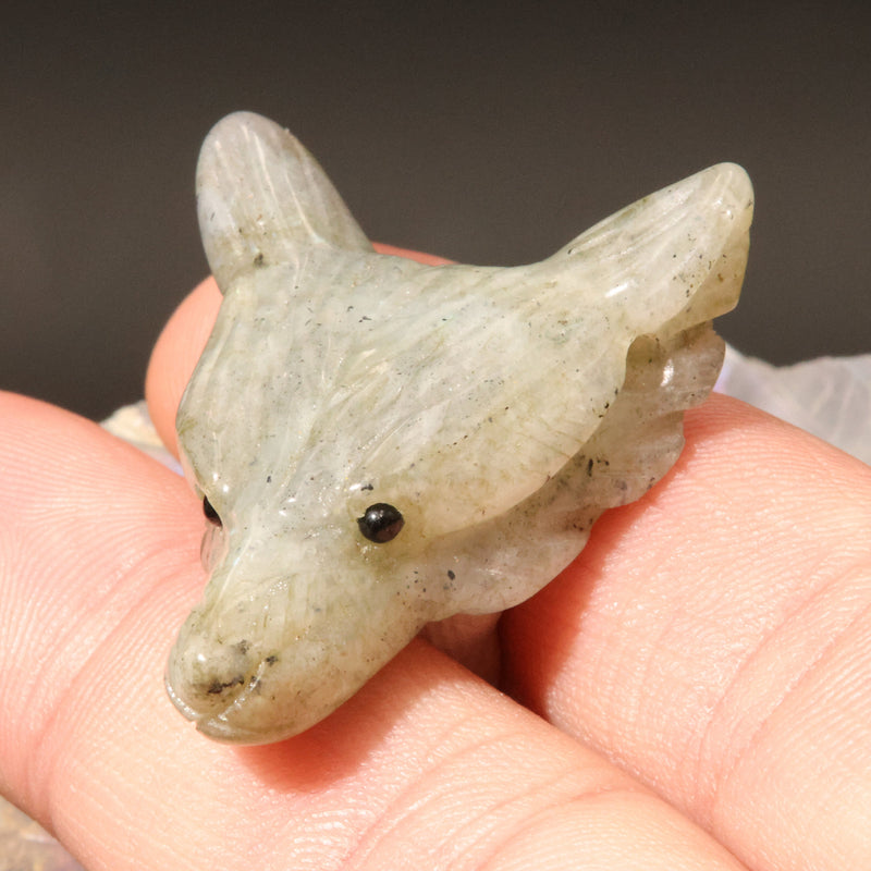 Labradorescence bleue sur la sculpture du loup