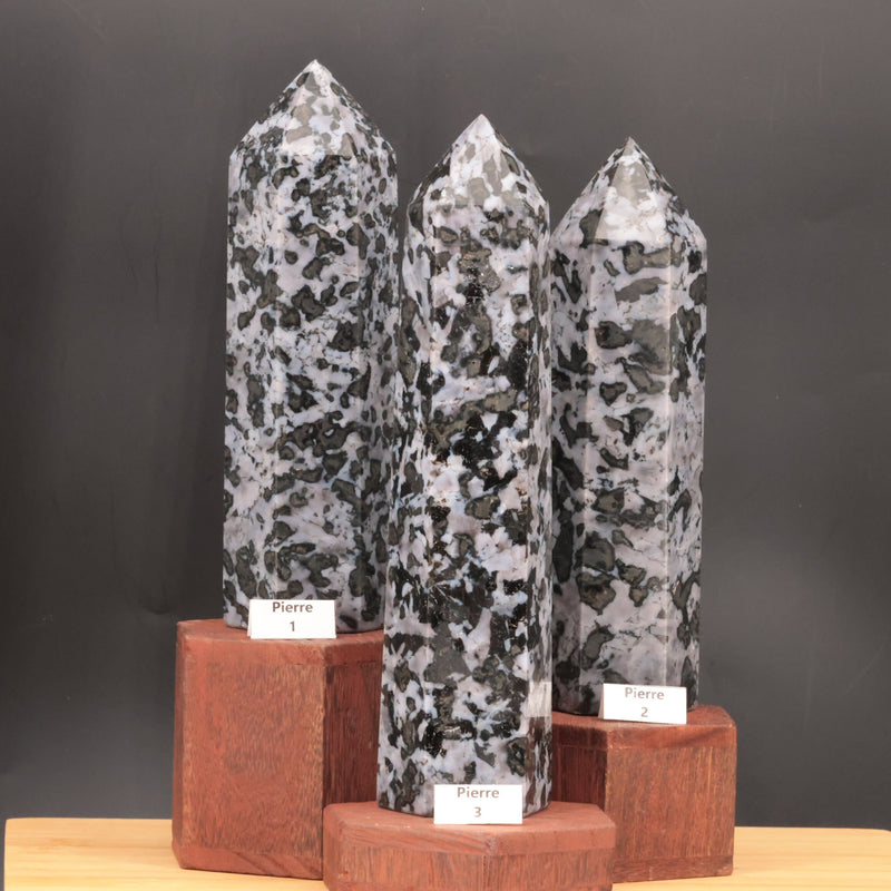 Pointe en gabbro merlinite de Madagascar avec échelle de taille