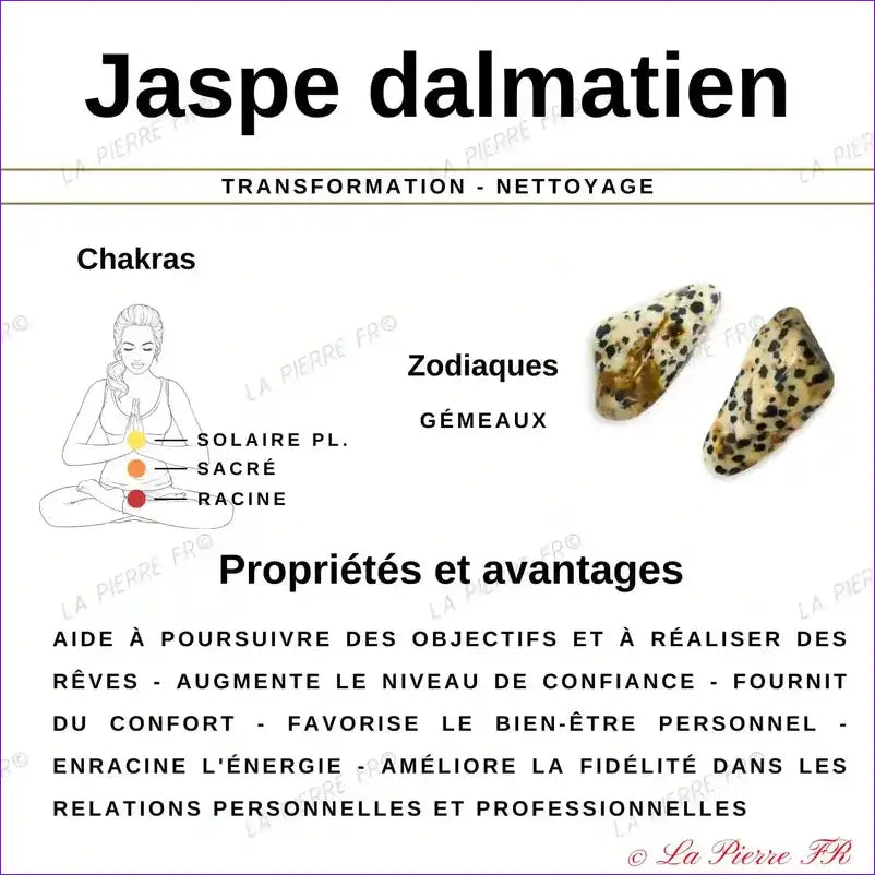 Perles Heishi Jaspe Dalmatien naturelle 4mm - La Pierre FR