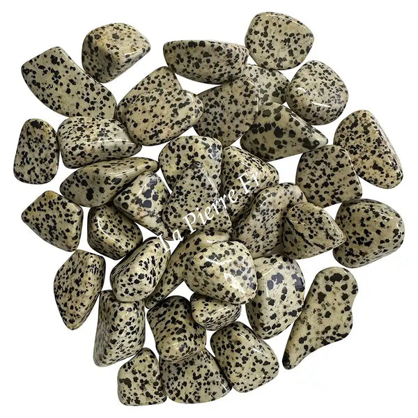 Jaspe dalmatien pierre naturelle – propriétés et bienfaits