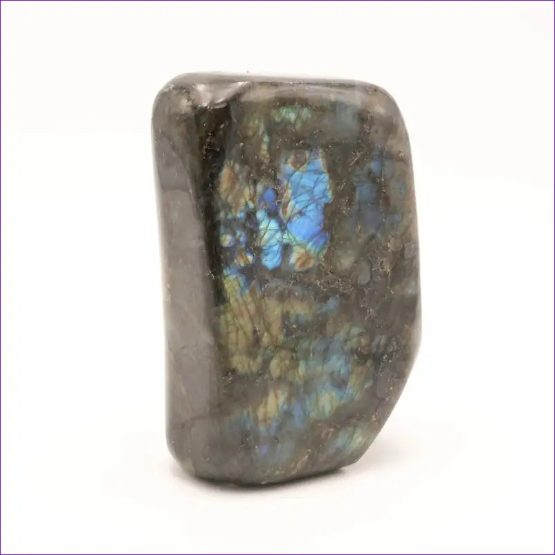 Labradorite 1,583Kg de Madagascar - La Pierre FR
