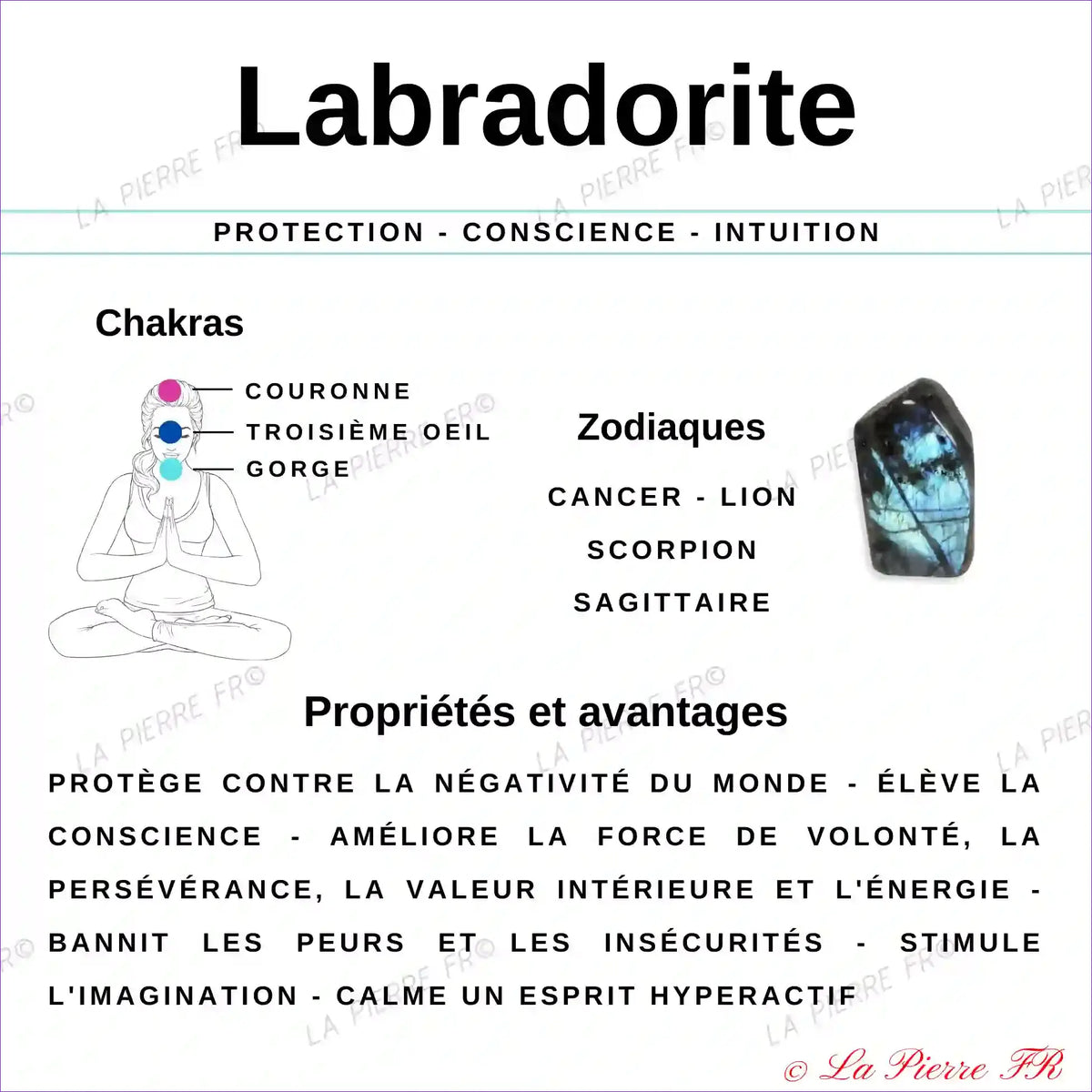 Labradorite Violette (Madagascar) - Lot de 4 Pierres Roulées (2-3cm) minéraux