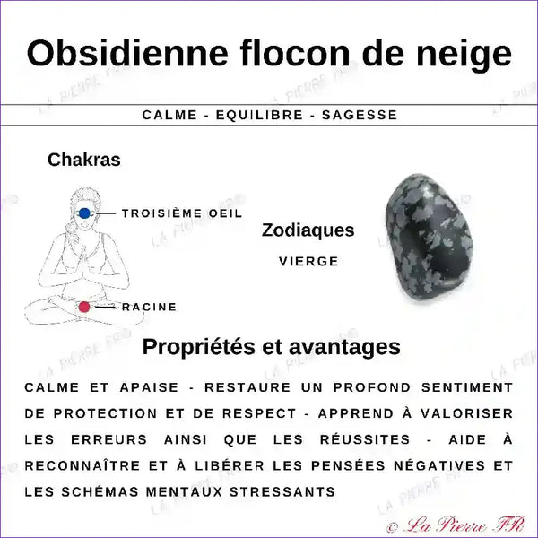 Obsidienne Mouchetée (Neige) USA - Lot de 4 Pierres Roulées (1.5-2cm) minéraux