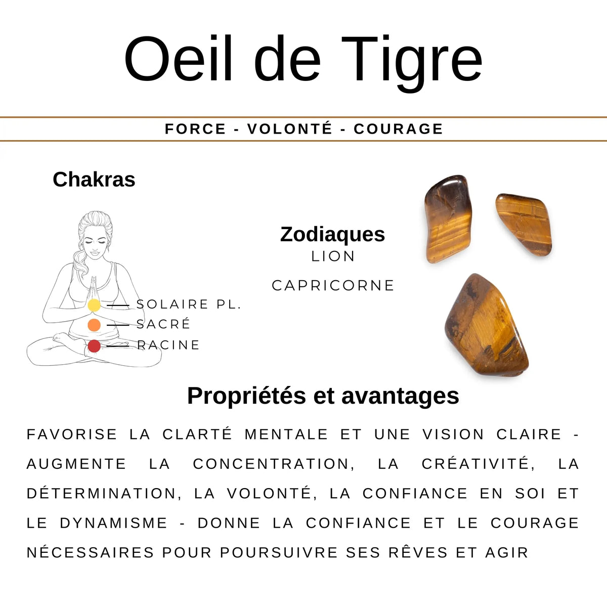 Oeil de Tigre (Afrique du Sud) - Lot de 4 Pierres Roulées