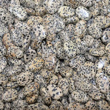 Pendentif Pierre Percée Jaspe Dalmatien 