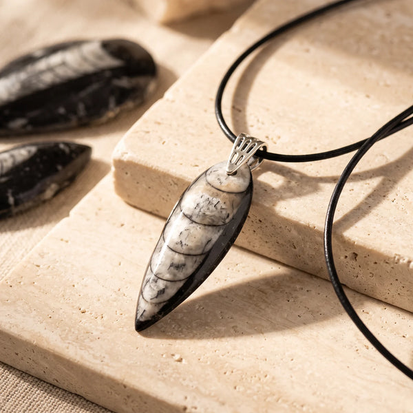 Pendentif fossile orthocéras noir et blanc du Maroc, idée cadeau original