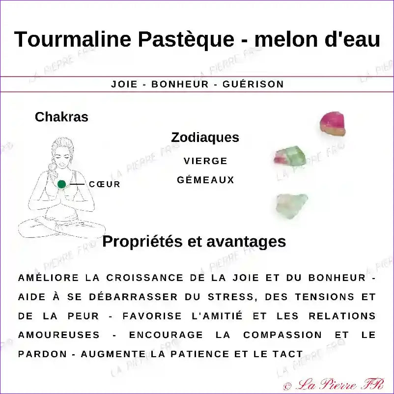 Pendentif Naturel Cristal de Roche et Tourmaline Melon pendentif