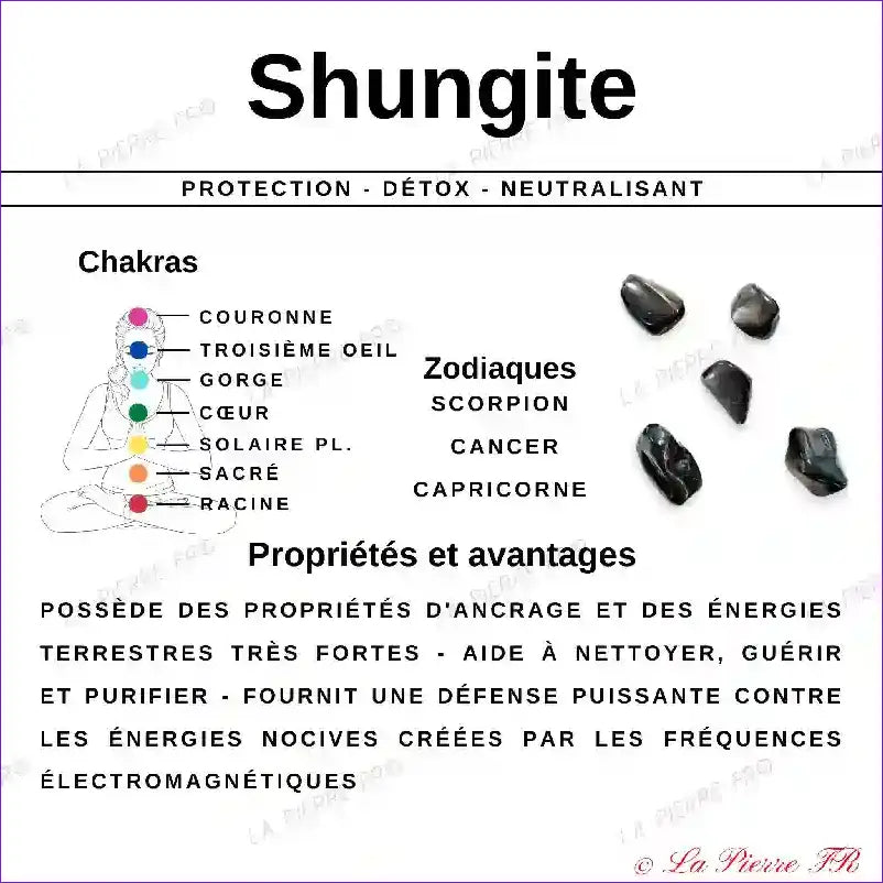 Pendentif Shungite Naturelle en Pointe pendentif shungite