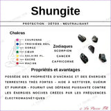 Pendentif Shungite Naturelle en Pointe pendentif shungite