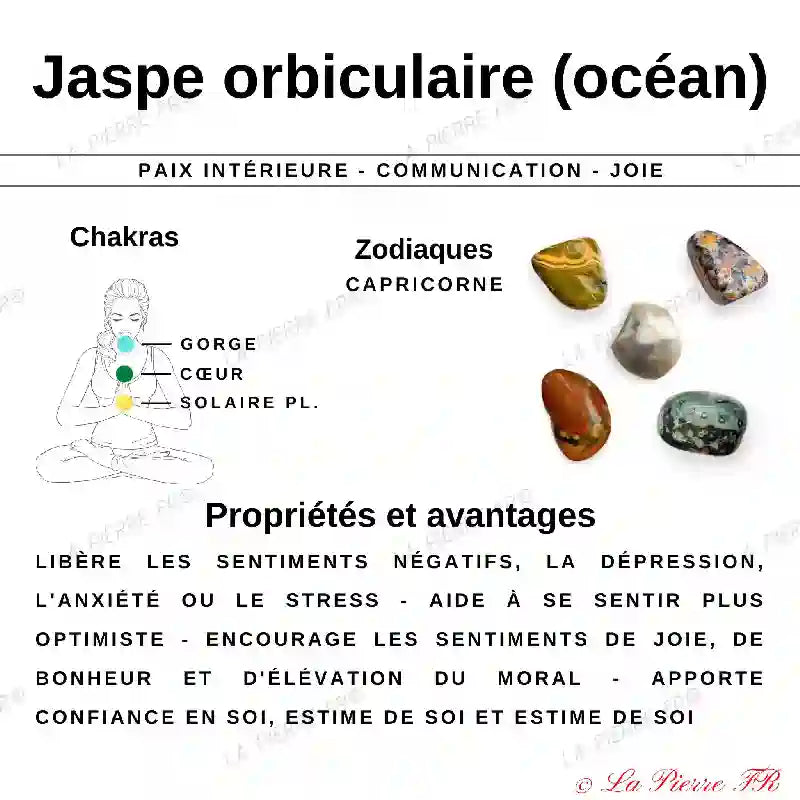 Perles Jaspe Orbiculaire en pierre naturelle - Qualité AAA perle informatif guide orbiculaire jaspe (océan)