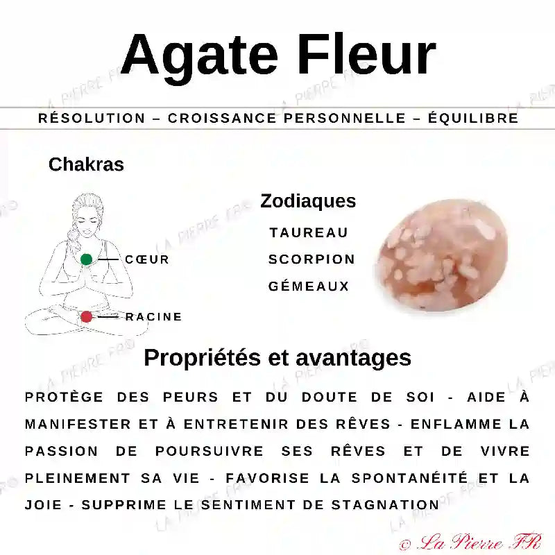 Perles Agate Fleur en pierre naturelle - Qualité AA + perle