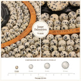 Petites perles Jaspe Dalmatien 4 mm, Qualité AAA