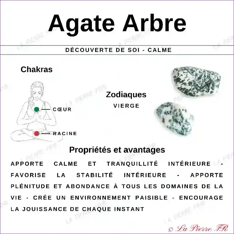Perles Agate Arbre en pierre naturelle - Qualité AA + perle agate mousse