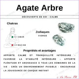 Perles Agate Arbre en pierre naturelle - Qualité AA + perle agate mousse