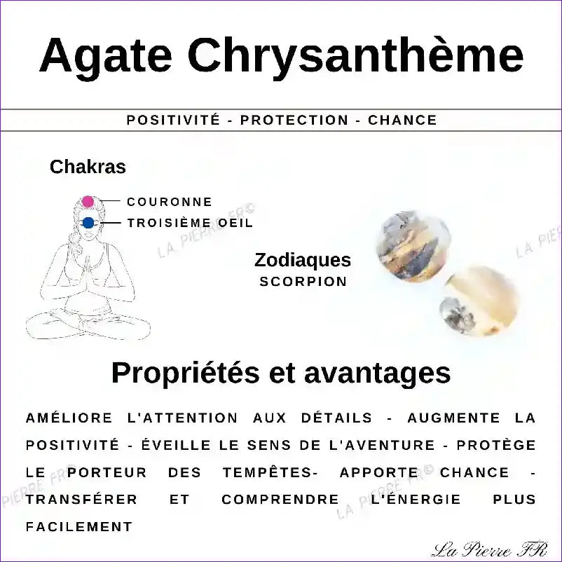 Perles Agate Chrysanthème en pierre naturelle -Qualité AA + perle