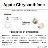 Perles Agate Chrysanthème en pierre naturelle -Qualité AA + perle