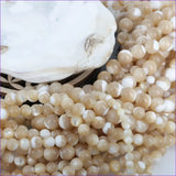 Perle en nacre naturelle beige ronde en 4mm, 6mm, 8mm