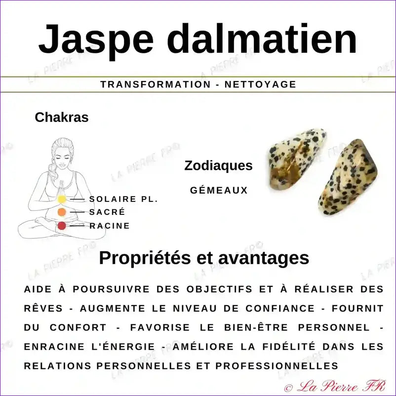 Perles Jaspe Dalmatien en pierre naturelle - Qualité AAA perle l’information dalmatien jaspe chakras zodiaque