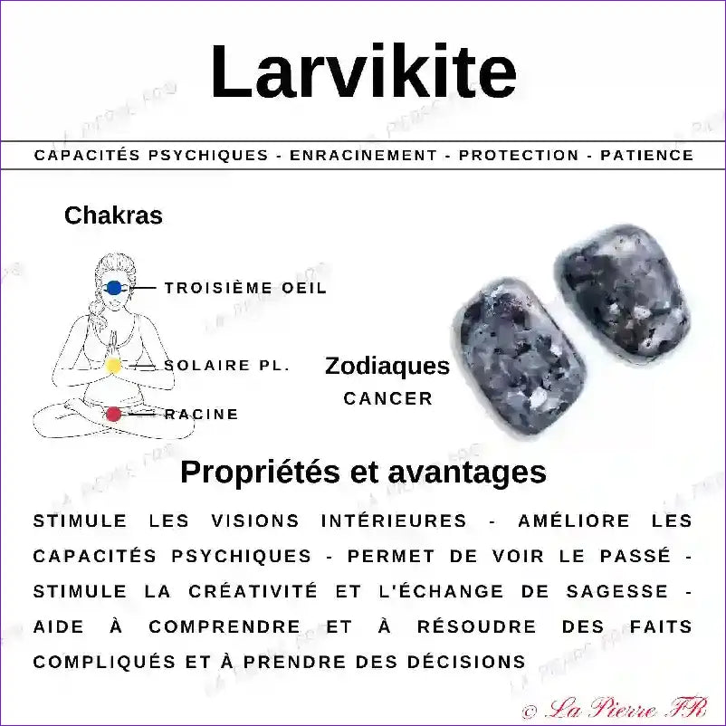 Perles Larvikite en pierre naturelle - Qualité AAA perle