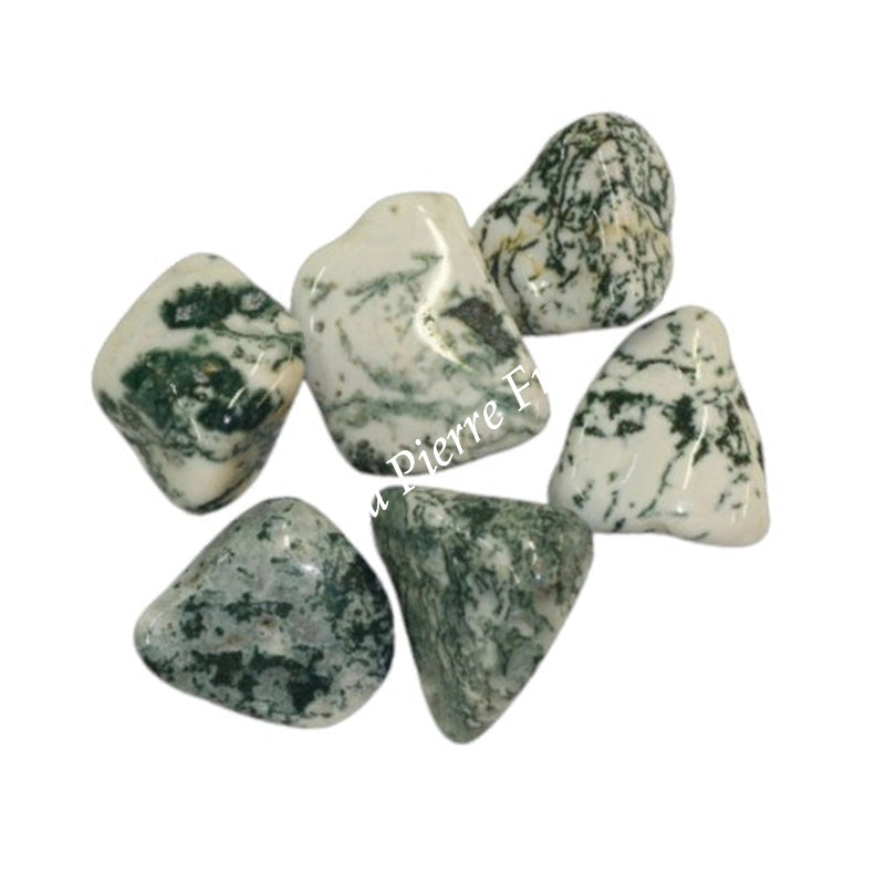 Agate Arbre pierre naturelle – base blanche et dendrites en forme de branches