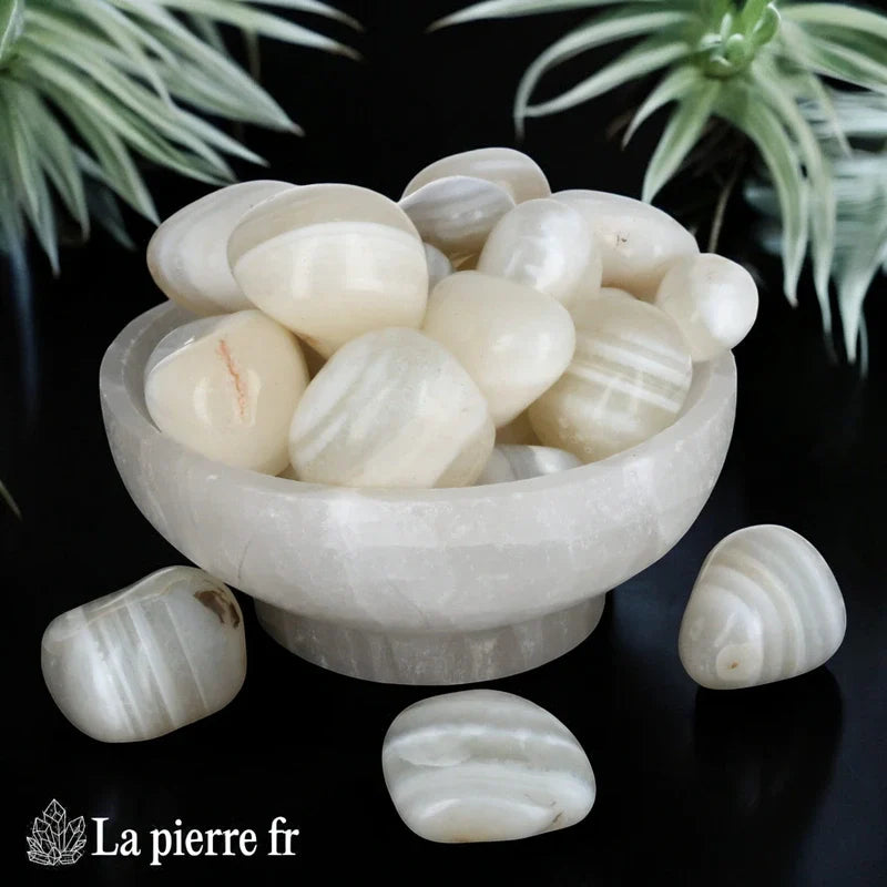 Pierre Agate Blanche roulées en Lithothérapie, idéale pour la stabilité, la mise à la terre et le soutien. Pierre semi-précieuse favorisant l'équilibre émotionnel, la clarté mentale et la paix intérieure.
