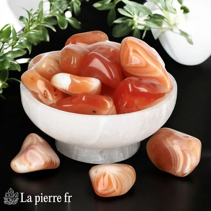 Pierre roulée en agate cornaline pour la créativité, la confiance et la motivation. Parfaite pour stimuler l'énergie et l'expression personnelle