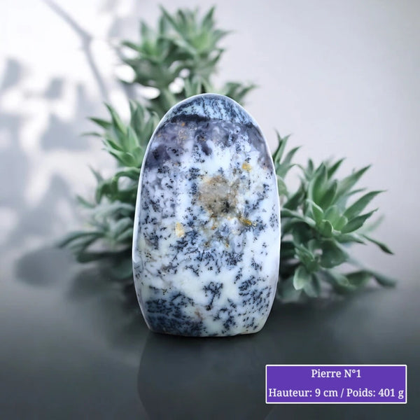 Pierre en Agate Dendritique - Forme Libre